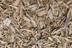 biomass boilers Erskine